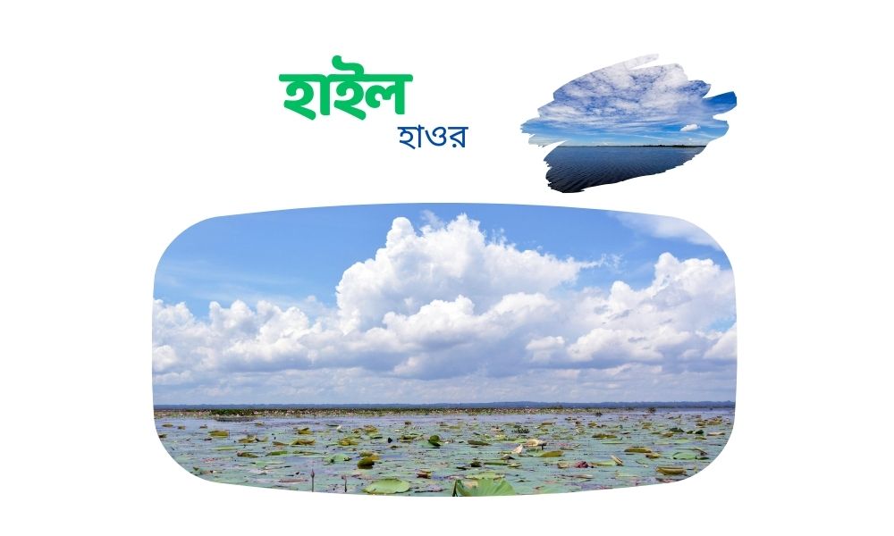 হাইল হাওর