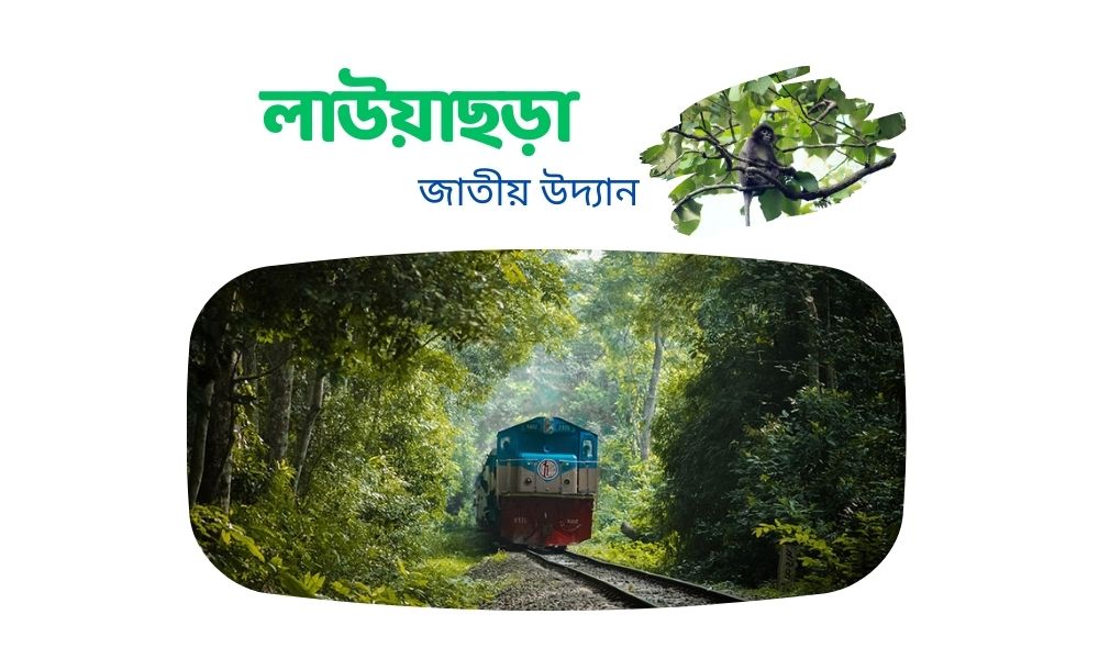 লাউয়াছড়া জাতীয় উদ্যান