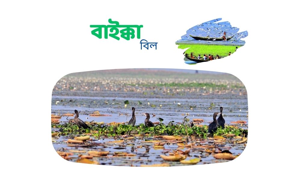 বাইক্কা বিল